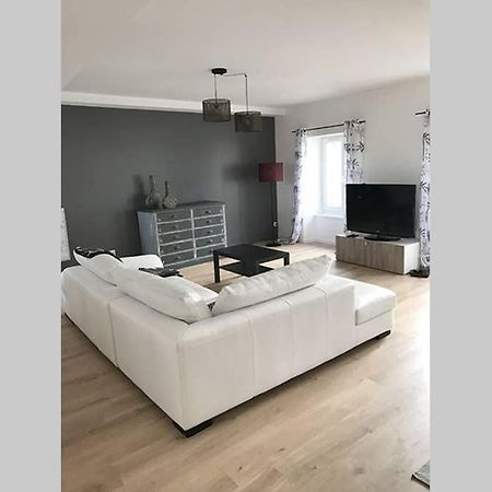 Annonay Centre, Grand Appartement Cosy, 3 Chambres Exterior foto